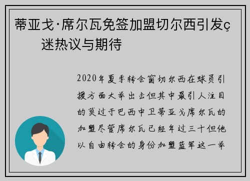 蒂亚戈·席尔瓦免签加盟切尔西引发球迷热议与期待